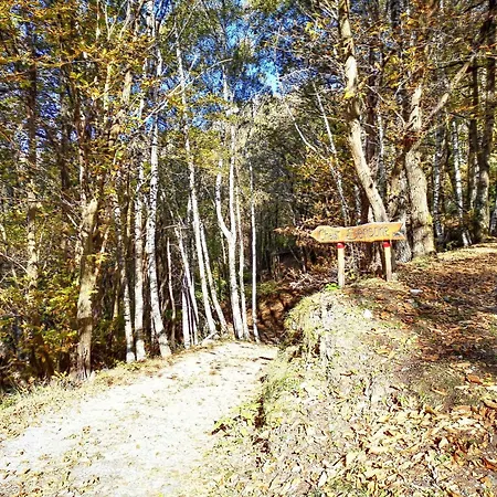 Nyaraló Ribes By Interhome Bugiallo